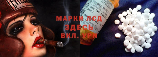 ПСИЛОЦИБИНОВЫЕ ГРИБЫ Белоозёрский