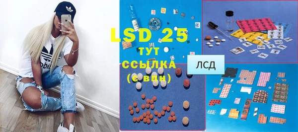 ПСИЛОЦИБИНОВЫЕ ГРИБЫ Белоозёрский